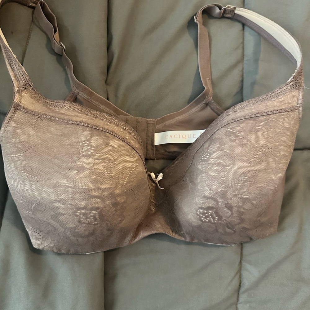 Cacique Women's Lace Bra - Brown
